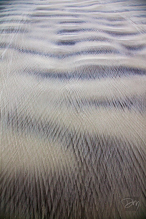 Wind Calligraphy