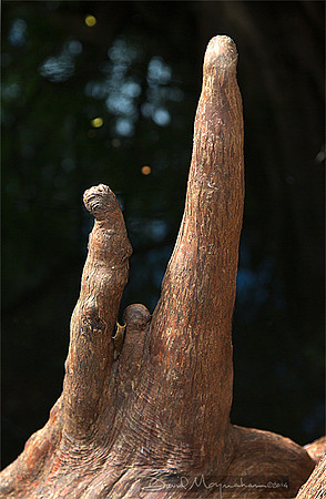 Three_Knee