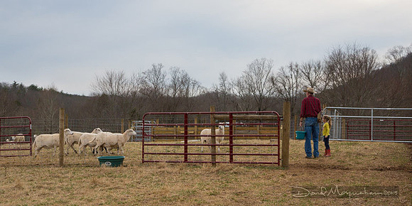 Farm-5600