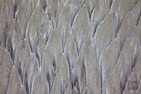 Beach Sands V
