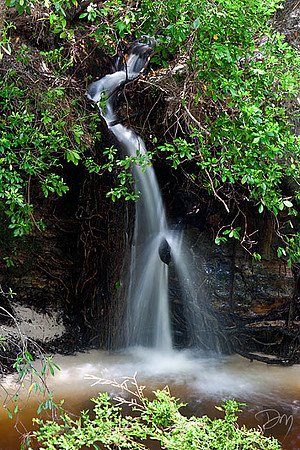 Econfina Waterfall