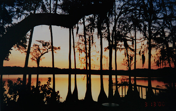 Lake Bradford Sunset