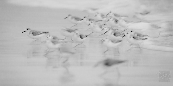 Sanderblur