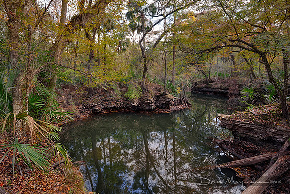 Aucilla River Sink Autumn IV