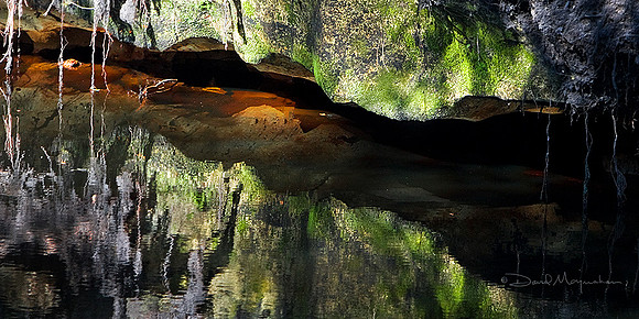 Aucilla Rocks
