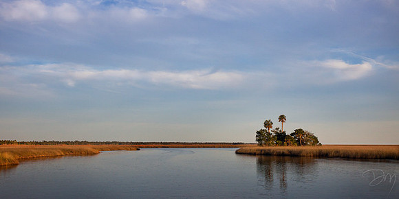 Palm Isle