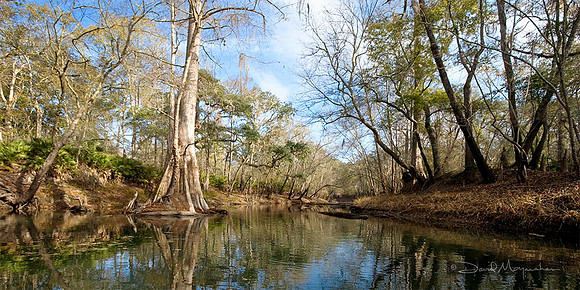 Aucilla Pano