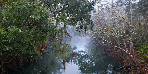 Aucilla River Panorama