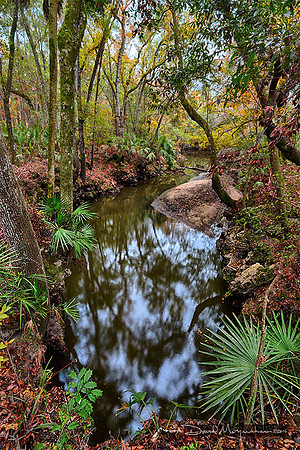 Aucilla River Sink Autumn