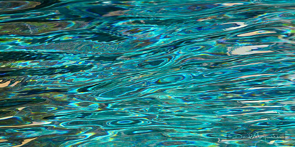 Living Waters