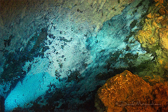 Night Spring Abstract