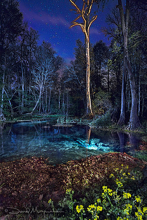 Nightfall on Eden