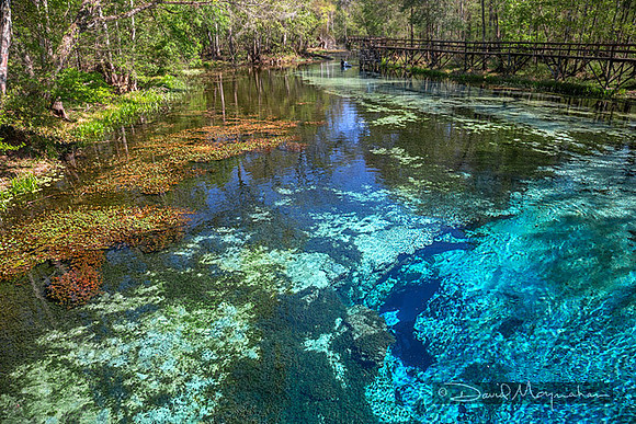 Rainbow of Blue Spring