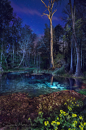 Nightfall on Eden
