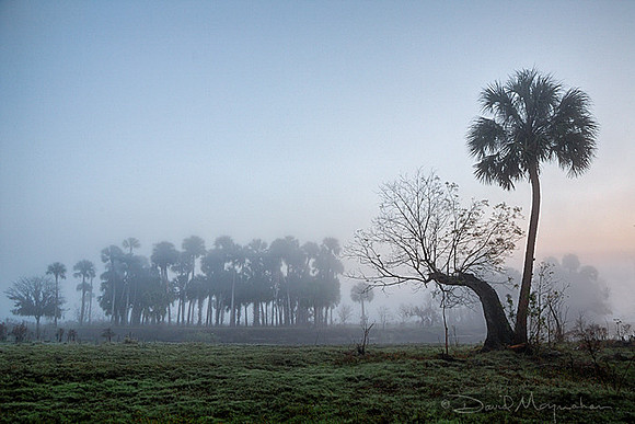 Bending_into_Mist