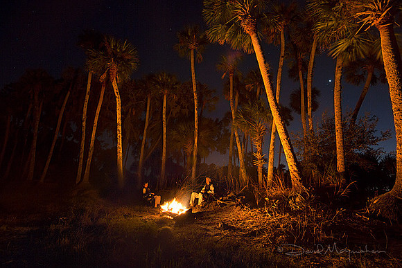 Camping Neath the Palms