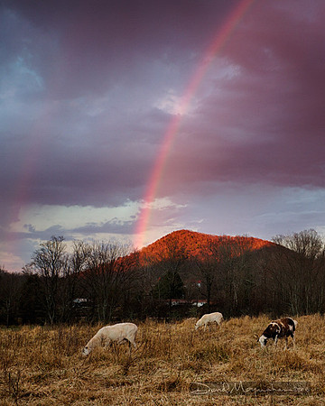 Under_the_Rainbow