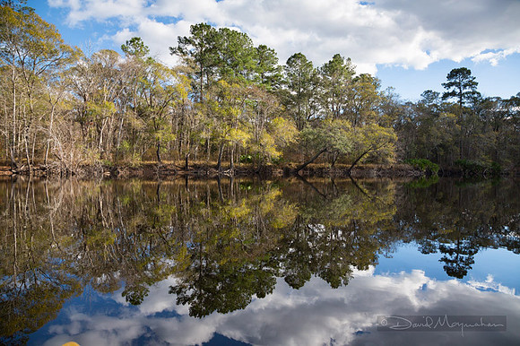 Reflections on Satilla