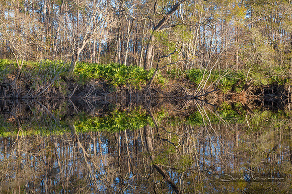 Reflections on Satilla 2