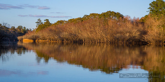 Reflections on Satilla Pano