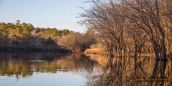 Satilla Pano 2