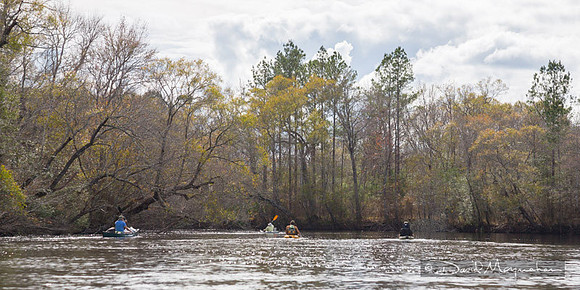 Satilla Pano 3