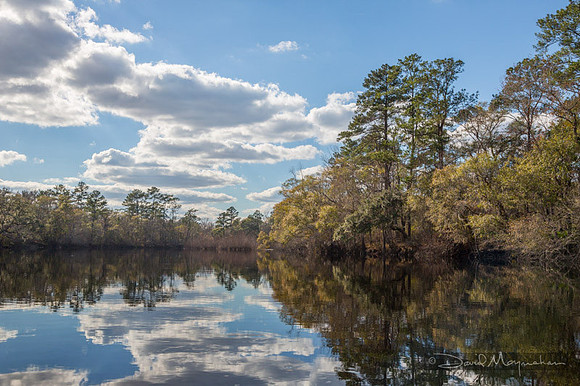 Satilla_Riverview