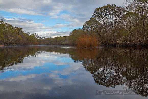 satilla Vista