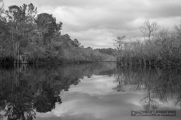 Satilla B&W 2