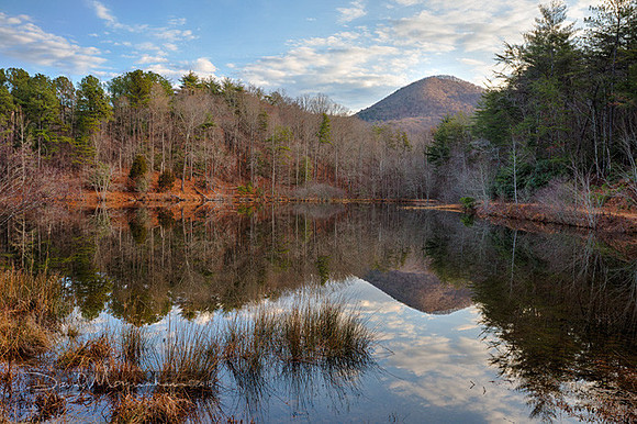 Wooten_Farm_Pond