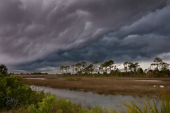 Storm Front