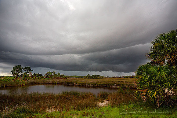 Stormy Morn