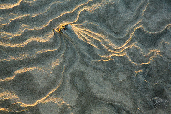 Stormy Sand