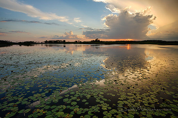 St. Marks Sunset Storm