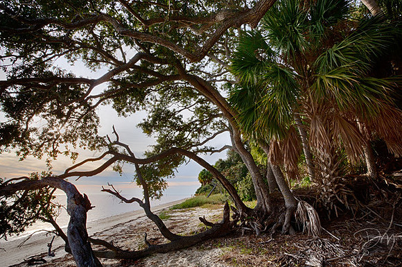Seahorse Key