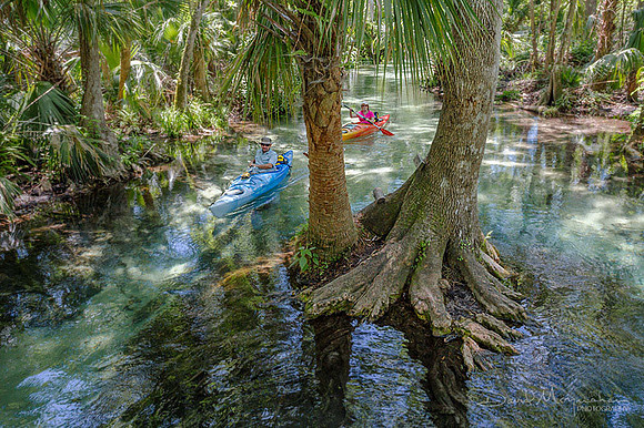 Emerald Cut Paddlers