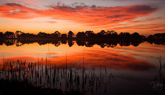 Picnic Pond Sunrise