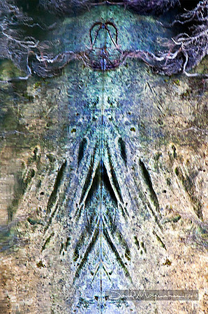 Surreal & Sub-Lime-Rock II