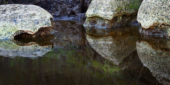 Turtle Rocks