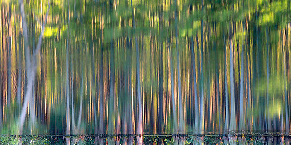 Woven Light