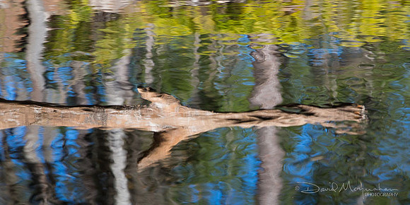 Jacques' Spear Reflected