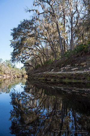 River Bank