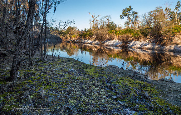 Moss Rock