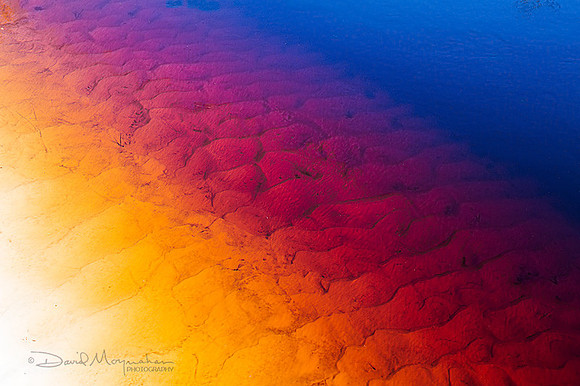 Rainbow Water Color