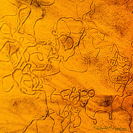 Scribbles
