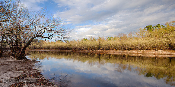 Suwannee Light 2