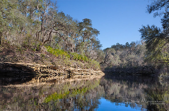 Suwannee Bend