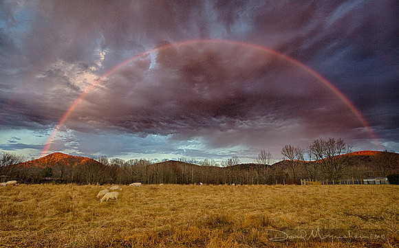 Pastoral_Rainbow
