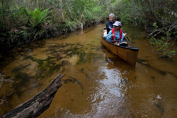 Seven Runs Creek-21.jpg