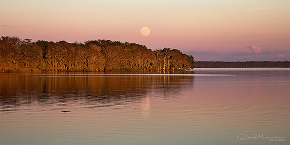 Super Moonrise